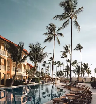 Tropical resort pool lined with wooden sun loungers and tall palm trees under a hazy blue sky.
