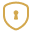 security icon